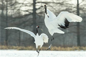 惠州市侦探公司：低效环境是“负和博弈”